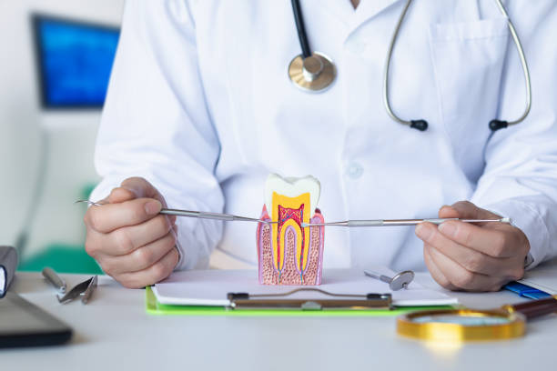 Best Chipped Tooth Repair Near Me  in Raymond, WI